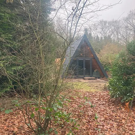 A-Huis In Het Bos Van Drenthe Norg Exterior photo