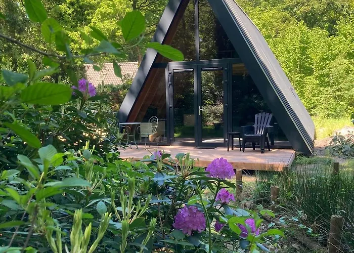 A-Huis In Het Bos Van Drenthe